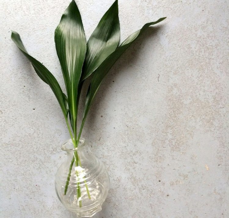 Slaktare palm blomma arrangemang idé lämnar dekoration rund vas
