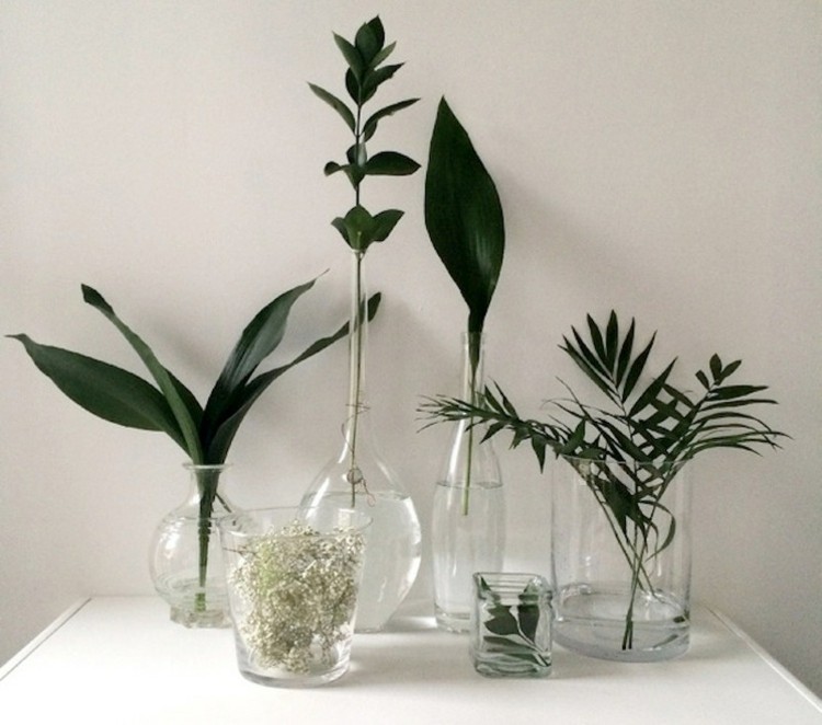 idé vårdekoration från gröna växter vaser glas gypsophila