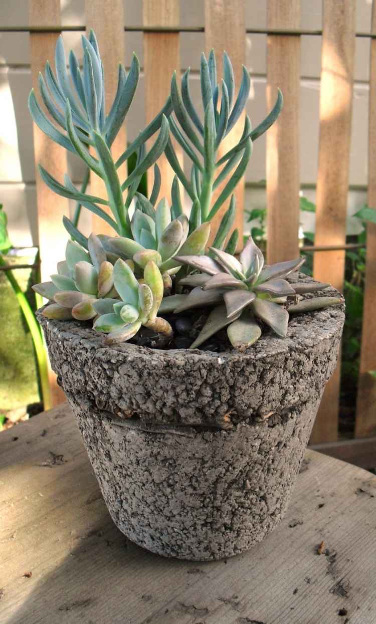 Deko-succulenter-inuti-utsida-blomkruka-gör-det-själv-cement-betong