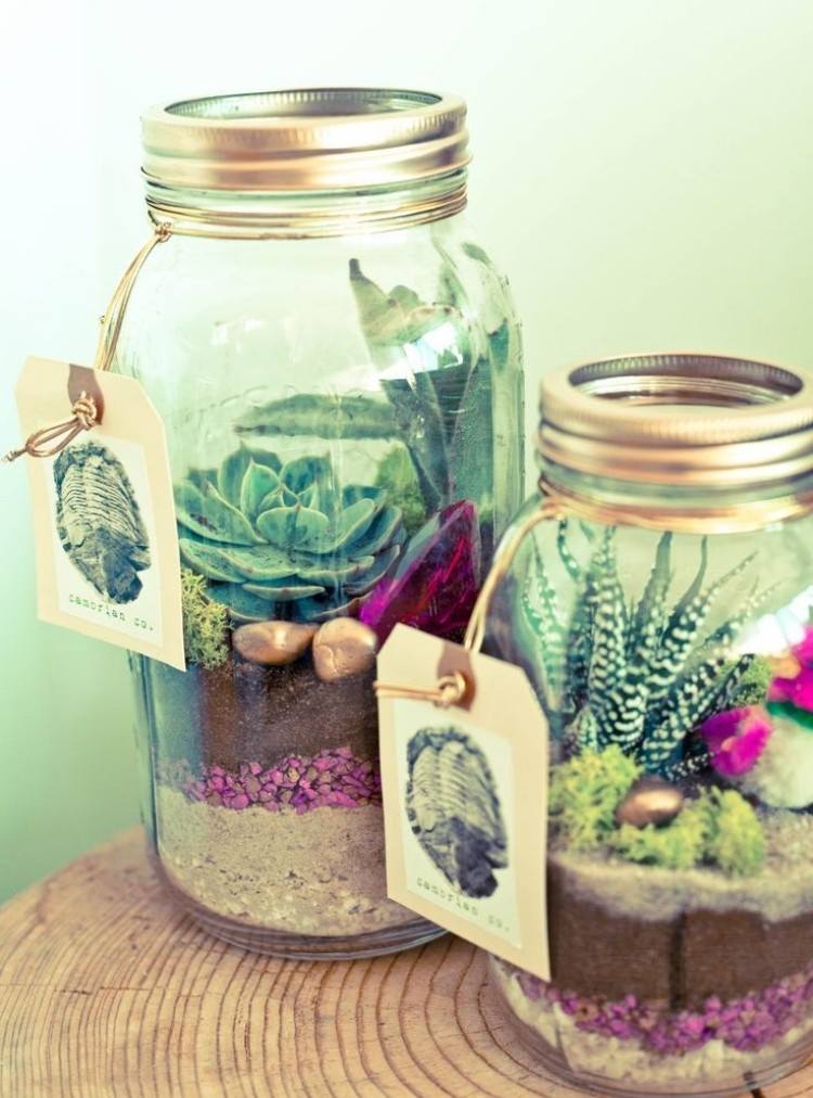 dekosuckulenter-inuti-utsida-konservering-burkar-glas-sand-färgglada-dekorera-arrangera
