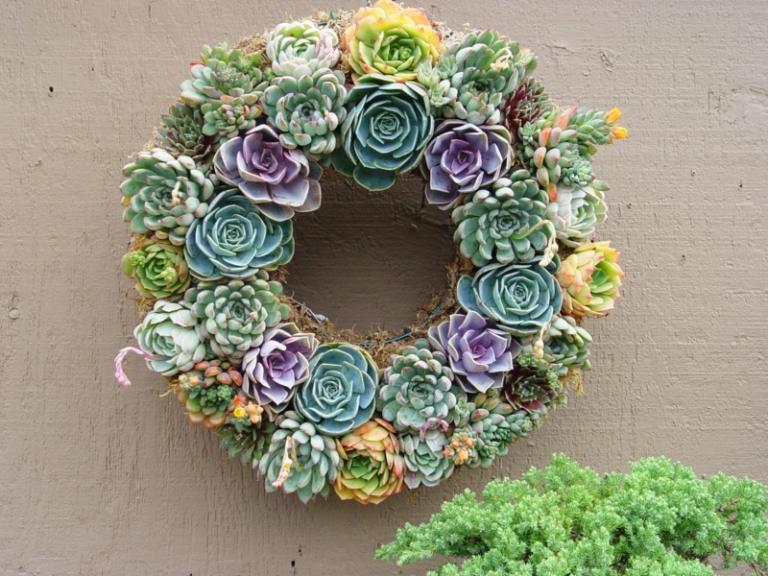 färgglad kransdekoration av succulenter gul lila grön DIY inspiration