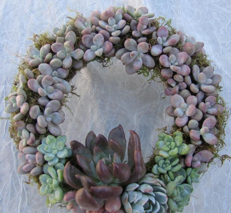 pastellfärger succulenter konst krans idé DIY dörrdekoration