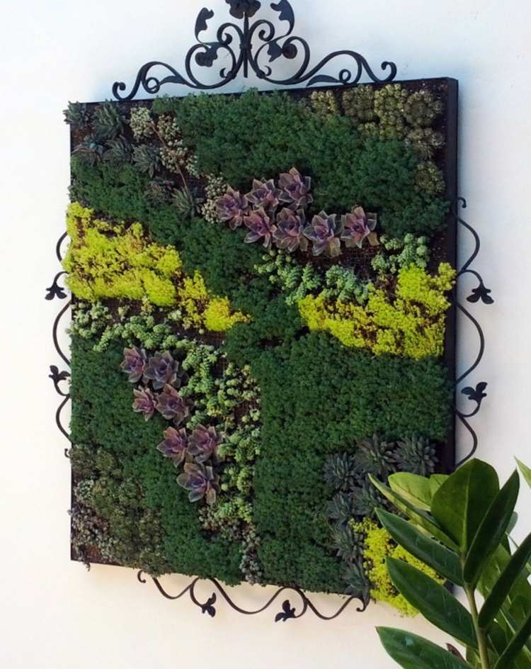 romantisk vertikal trädgård smidesjärn succulenter