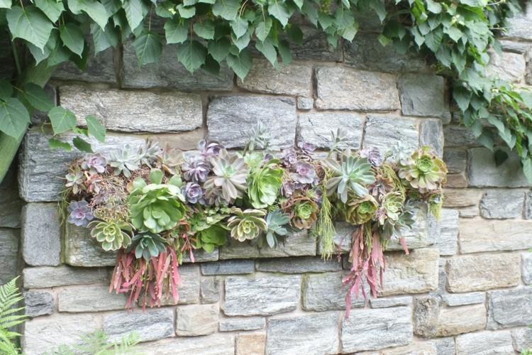 Väggdekoration av saftiga stenar murgröna blomma låda idé
