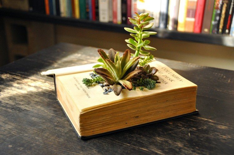 bok blomkruka vintage idé saftiga växter bibliotek