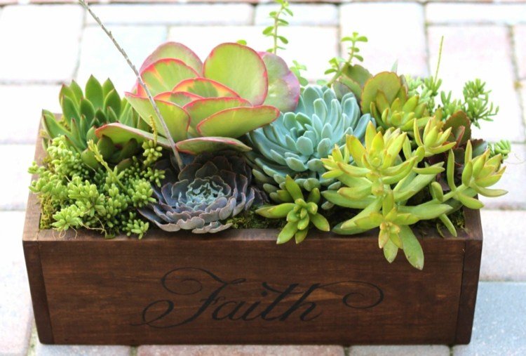 blomlåda trä deco gjord av succulenter rustik tro tro