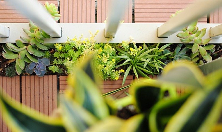 balkong idé dekoration från succulenter kolumn balustrade träplattor