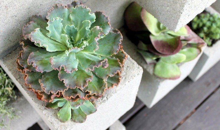 Tegelvägg dekorera blomkruka idé trädgård deco succulenter