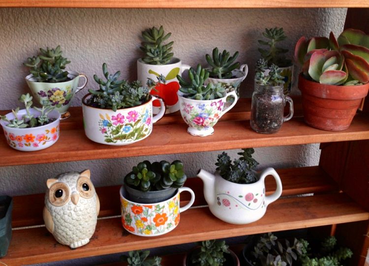 vintage stil dekoration kanna koppar rätter succulenter kruka