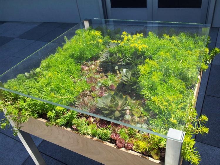 bord dekorera glas levande växter trädgårdsmöbler hus