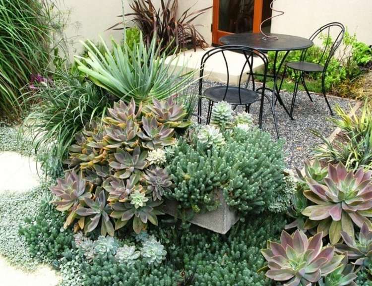 terrass idé växter sängar succulenter stor sittgrupp trädgård