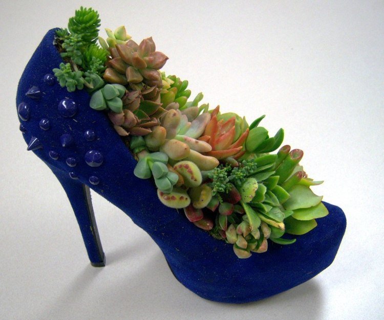 sko häl blå blomkruka dekoration gjord av succulenter