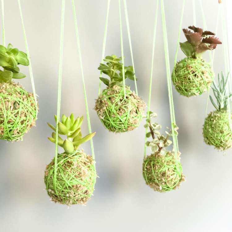 strängboll plantkruka idé original pendel succulenter deco