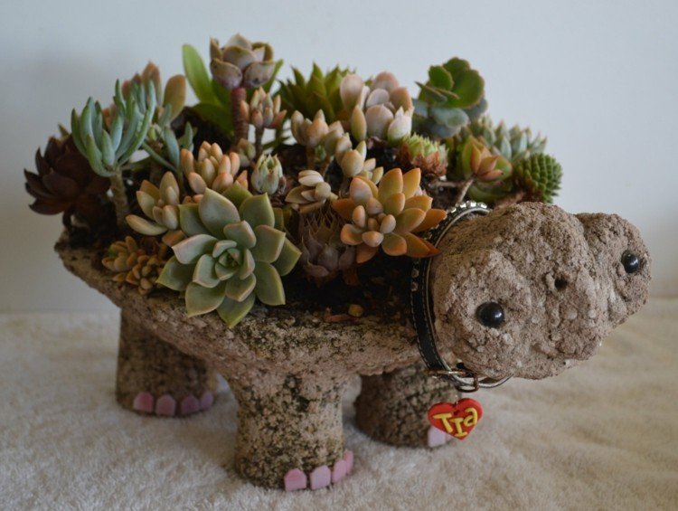 sköldpadda figur blomkruka skål dekoration från succulenter DIY