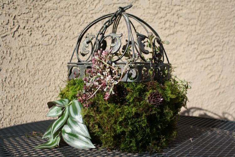 bur dekorera moss succulenter smidesjärn vintage blad