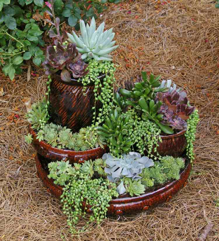 inspirationarrangemang succulenter blomkrukor typer skålar
