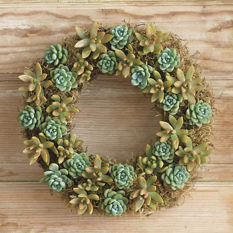 grön kransdesignförslag dörrväggdekoration från succulenter