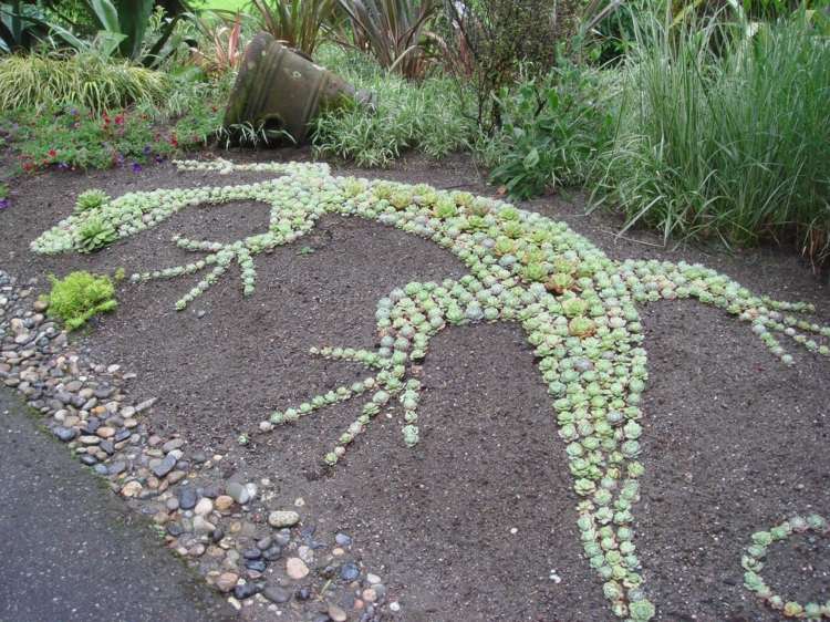 ödla dekoration succulenter idé småsten graeser trädgård