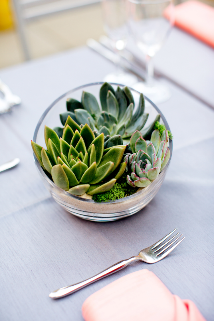 bordsdekoration idé modern glasbehållare dekoration från succulenter gaffel