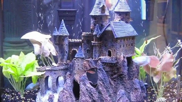 World castle vatten växter cool dekoration idé