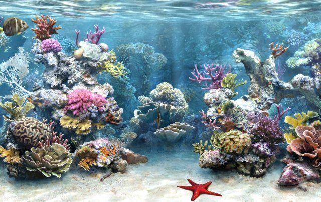 Barriärrev tema korallstenar idéer dekoration