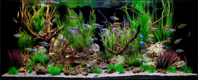 dekoration för akvarium färgglada fisk konstgjorda växter grenar