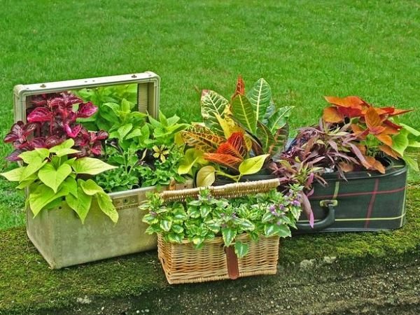 trädgårdsfartyg blomlådor resväska flätade korgar upcycling idéer