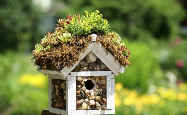 DIY fågelmatare trädgård locka fåglar gör-det-själv-projekt