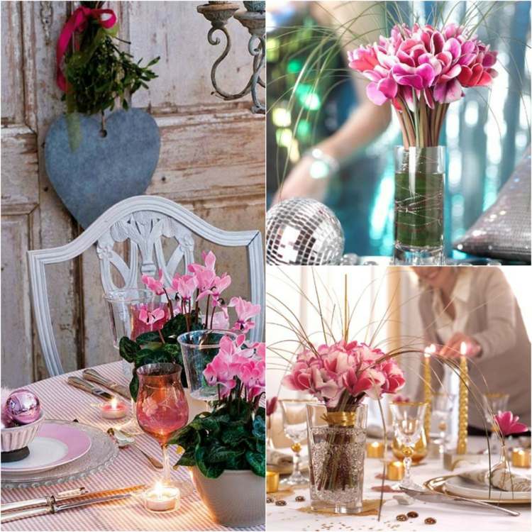 cyklamen-dekoration-bord-jul-cyklamen-persicum-rosa-bananblad-strass-glas-vaser