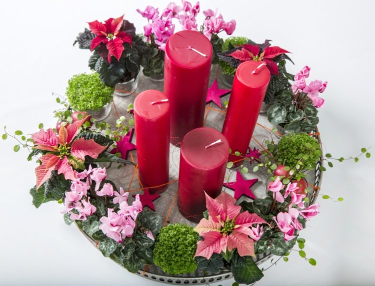 cyklamen-dekoration-jul-advent-krans-bobhårig-julstjärna-växt-bord-arrangemang