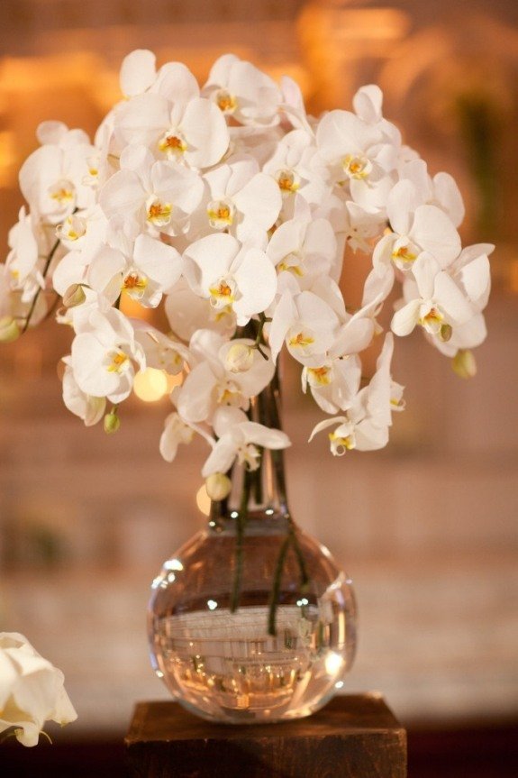 vit orkidé brännpunkt gör vas trevlig atmosfär