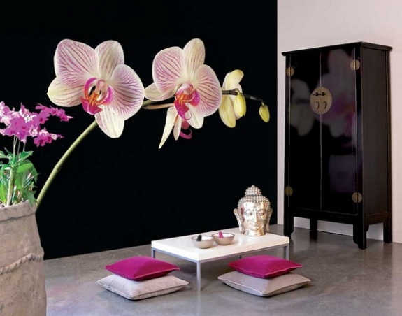 underbara orkidéer vägg lågt bord japansk svart