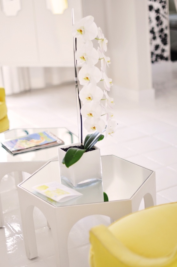 vit gul dekor orkidé ljus ren inbjudande
