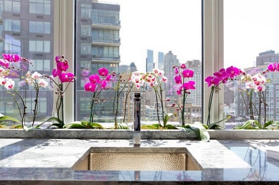 lila vit kombination vackra färska orkidéer moderna