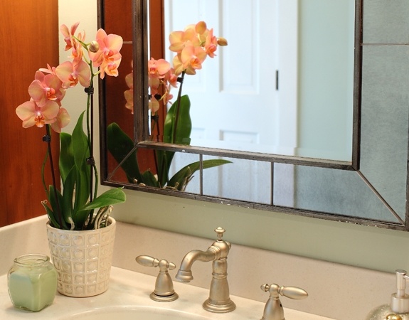 varma färg orkidéer vita blanka badrumstips