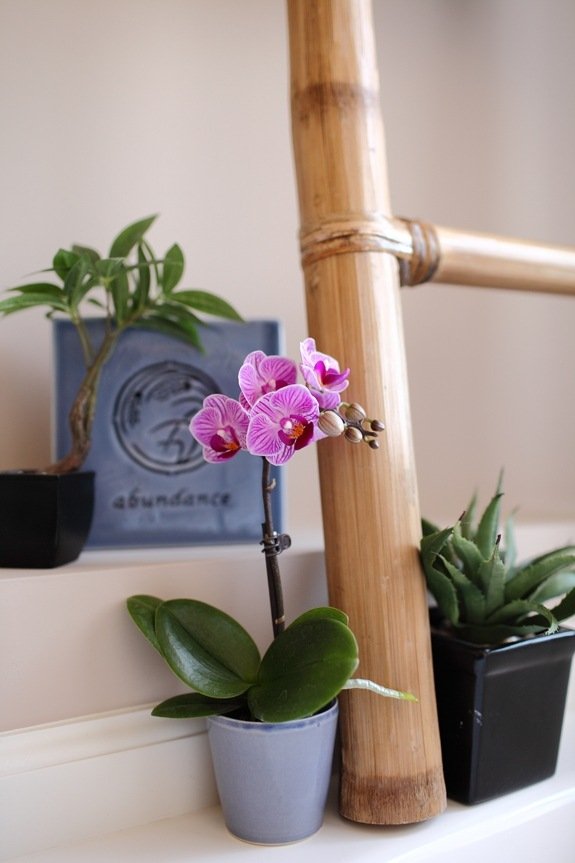 orkidéer badrum fräsch design idéer atmosfär avkopplande