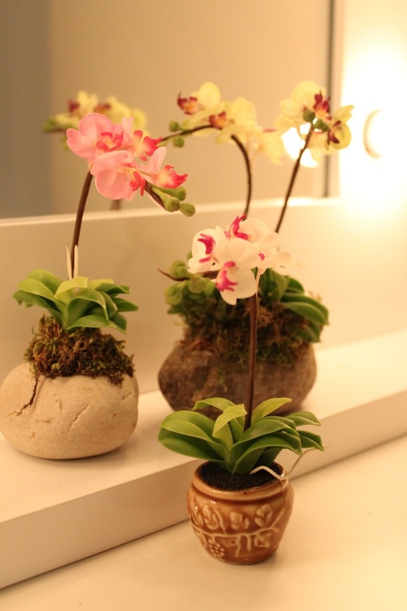 badrum orkidéer olika typer kruka design spegel
