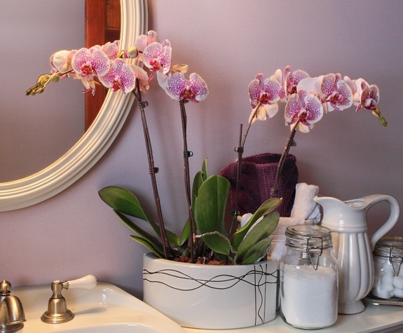 badrumsidéer lila rosa färger orkidéer vackra