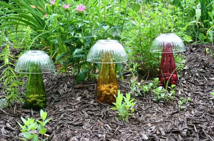Ganska dekorativa svampar i trädgården av färgat glas
