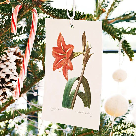 Julgran dekoration vykort motiv idéer billiga dekorera