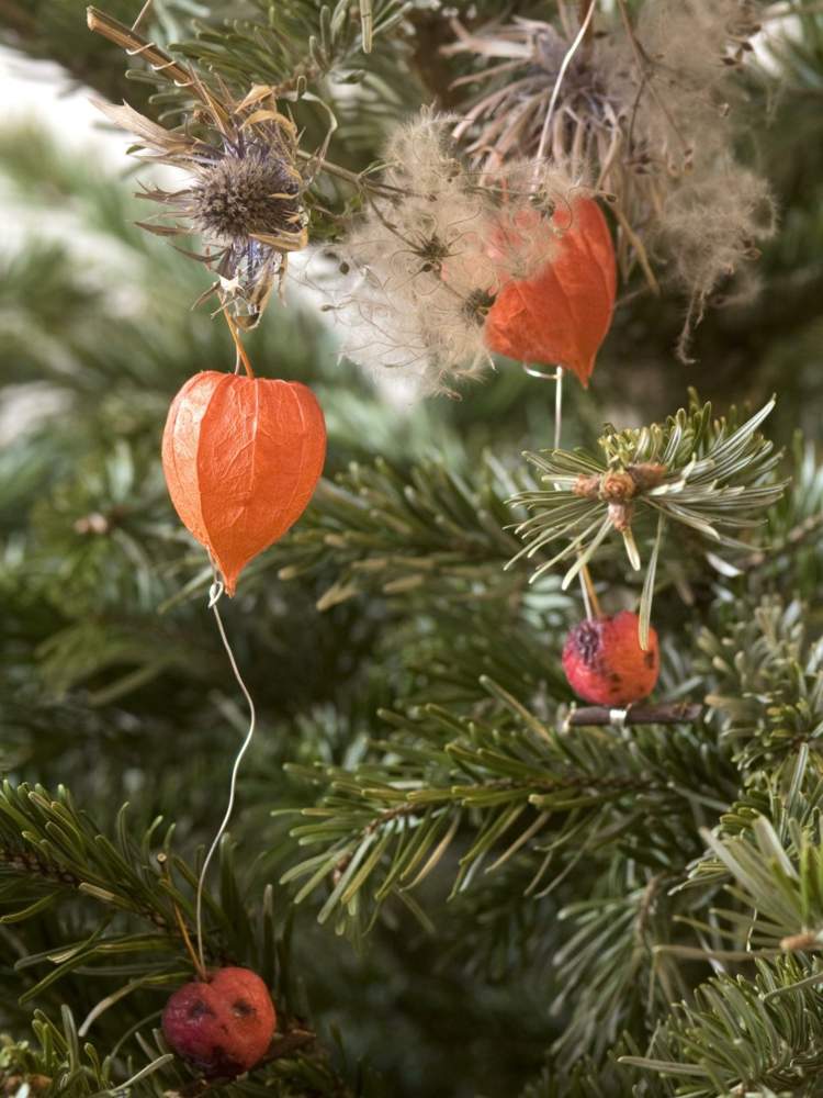 dekoration för jul lampion blomma orange färg naturmaterial tinker