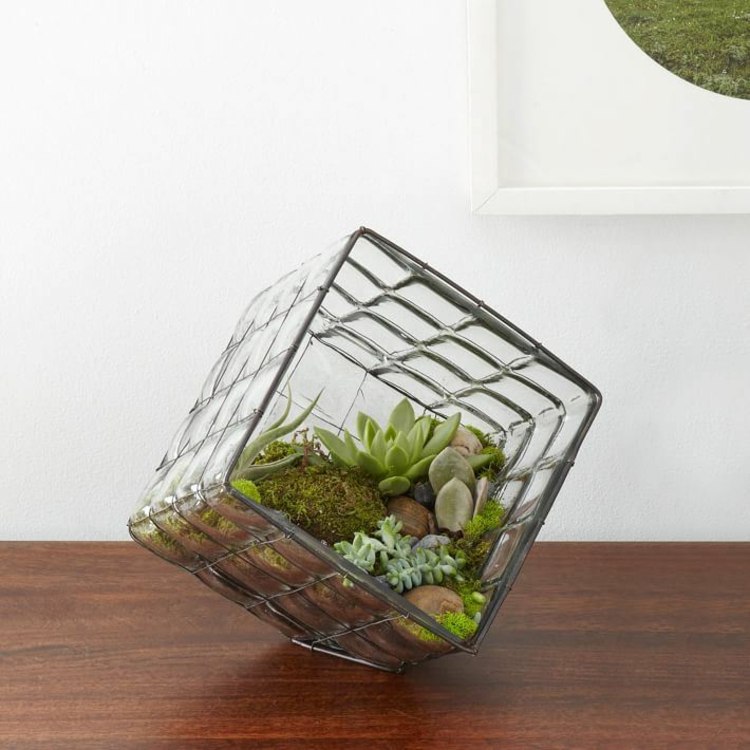 deco för avkoppling terrarium succulenter design trädgård interiör