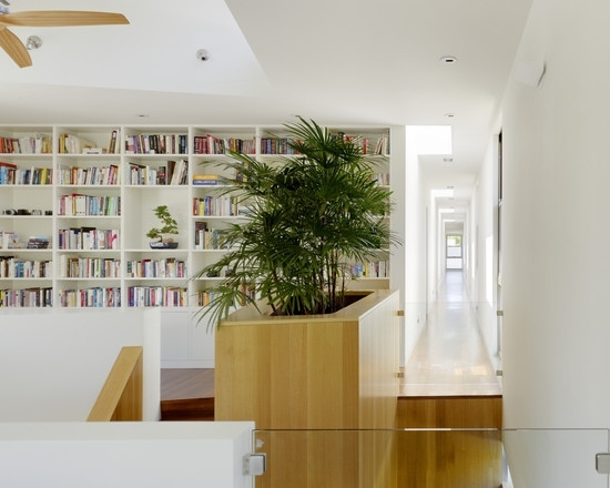 bonsai träd vardagsrum moderna ljusa hyllböcker