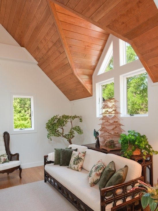 bonsai soffa bekväma bekväma dekorativa element ljusa
