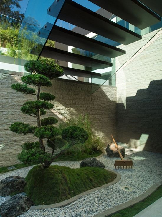 bonsai utomhusområde uppdatera landskap grönt vackert