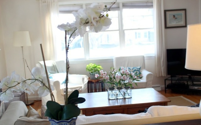 ett ljusare vardagsrum med orkidéer