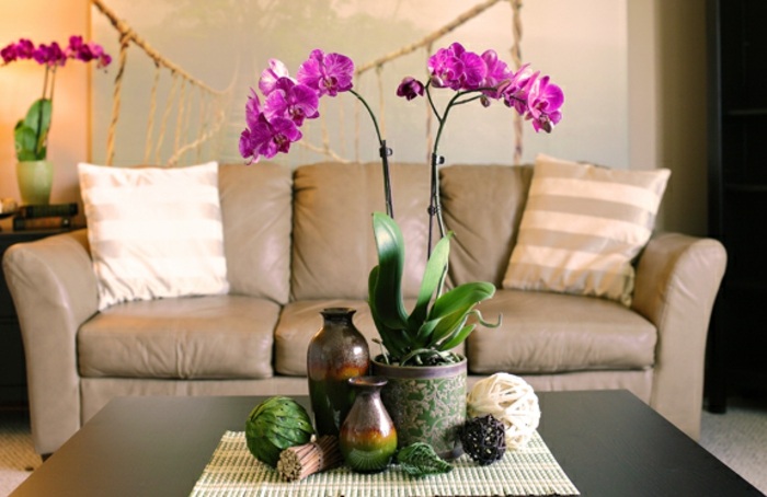 Rum-dekoration-med-orkidéer-blomma-vaser-och-rök-bollar