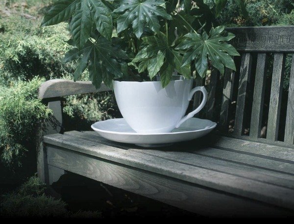 Tekopp keramisk planter utomhus PLANT CUP-Gitta Gschwendtner