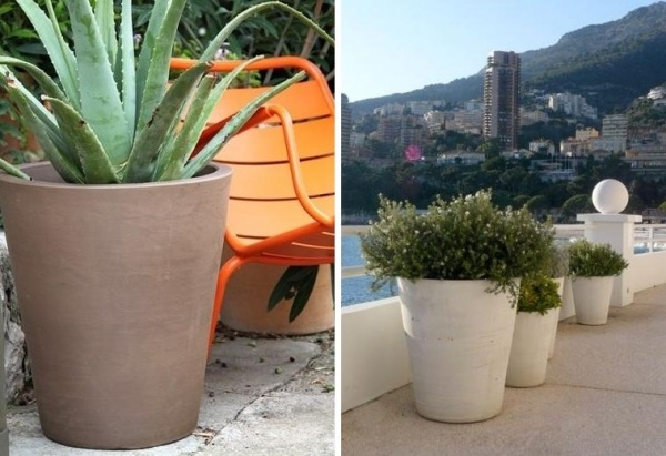 Multipurpose möbler dekor idéer hinkar keramik-betong-poterie-ravel Cycas-lissee