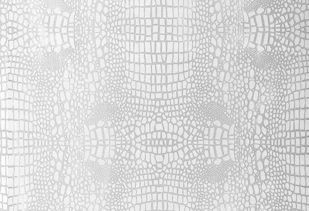 dekorativa kvarts ytpaneler caesarstone vit krokodil